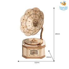 Load image into Gallery viewer, 3D Wooden Puzzle - Gramophone
